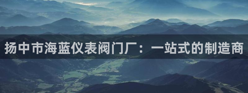 新宝GG主管41333