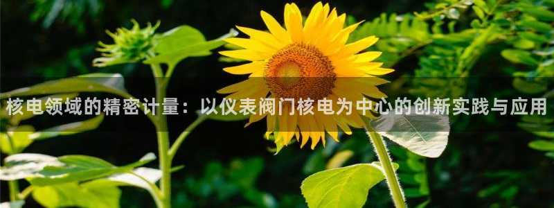 新宝gg漏洞
