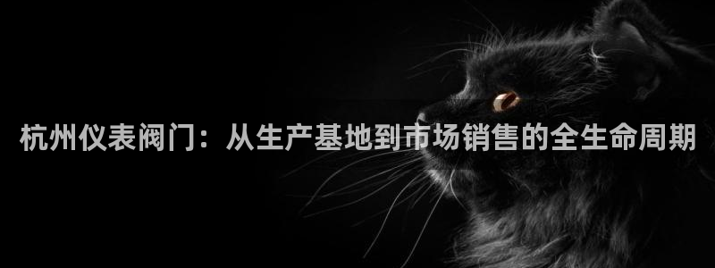 新宝GG手机客户端