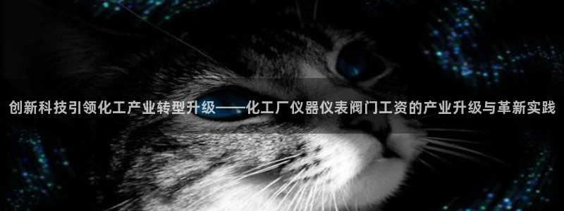 x新宝gg