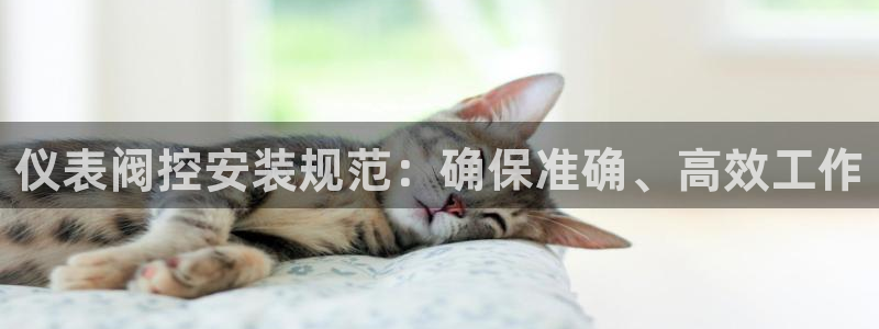 新宝gg走势