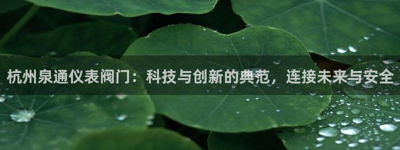 新宝gg会员
