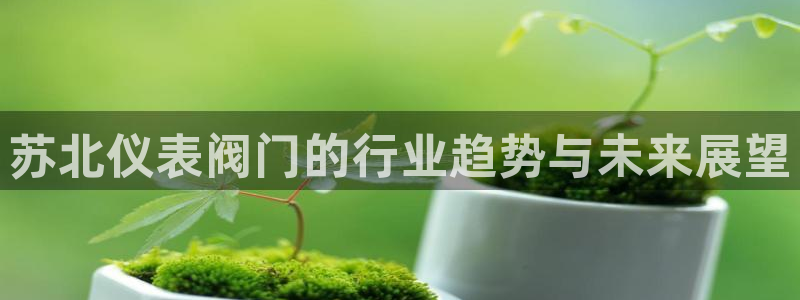 新宝gg -创造