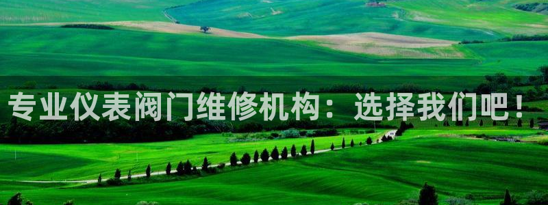 新宝gg测速登录