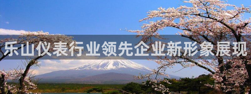 新宝gg用哪个浏览器