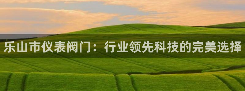 新宝GG管理