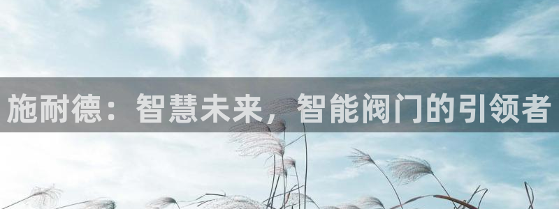 新宝gg工资