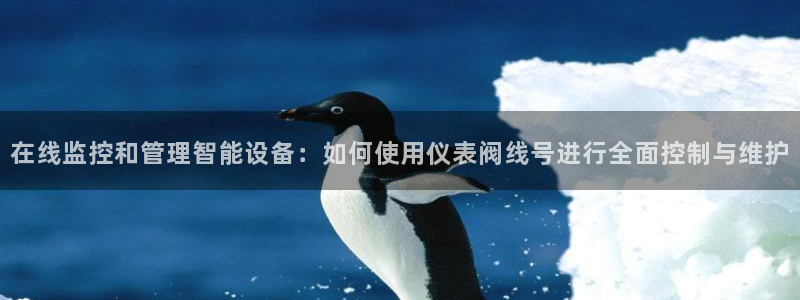 新宝gg 平台怎么样