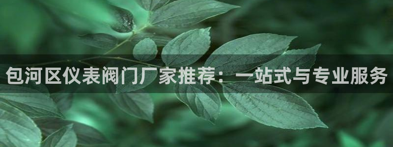 新宝gg 黑