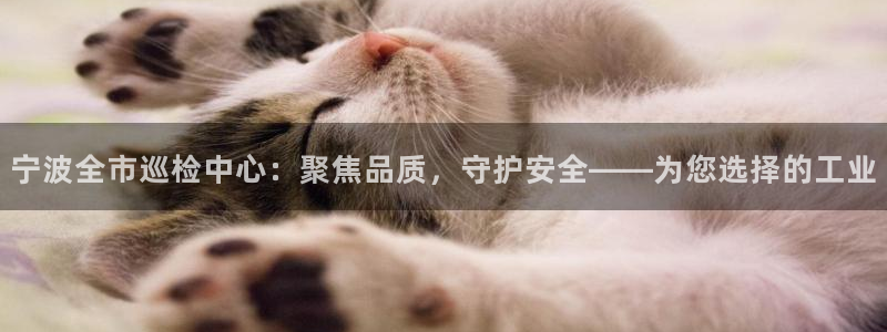 新宝gg-创业奇迹