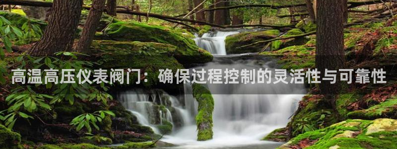 新宝GG—创造奇迹