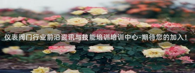新宝GG玩家