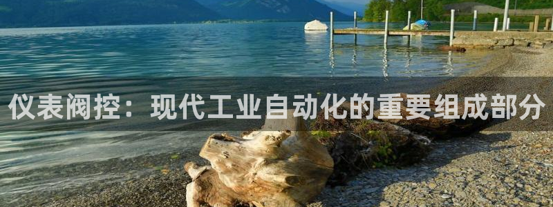 新宝gg是在境外吗