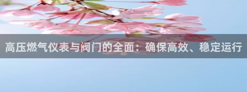 新宝gg可靠