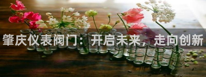 新宝gg博客