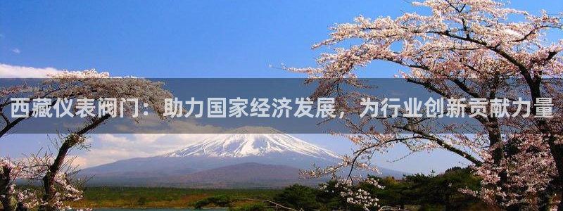 新宝gg推荐