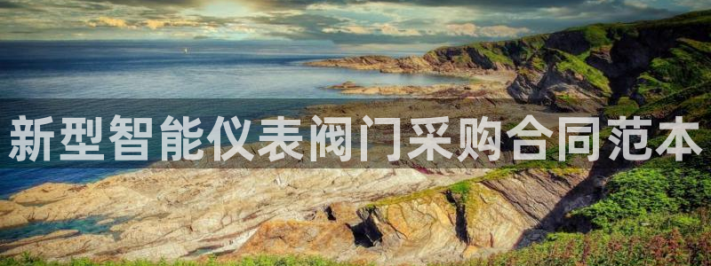 新宝gg怎样