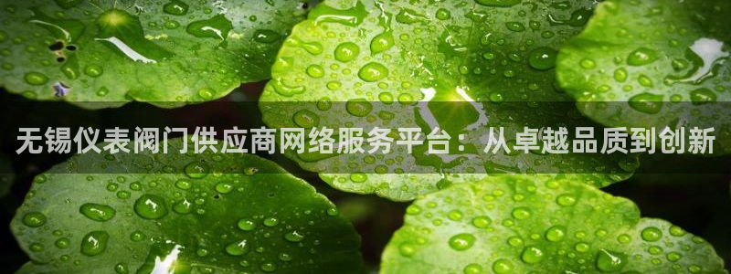 新宝gg注销