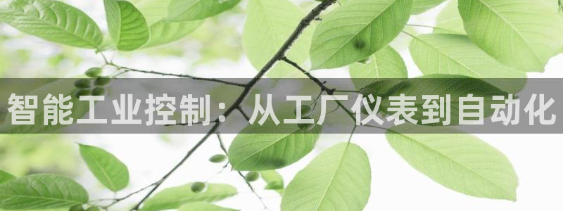 新宝gg传奇