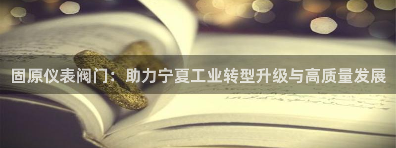 新宝gg软件