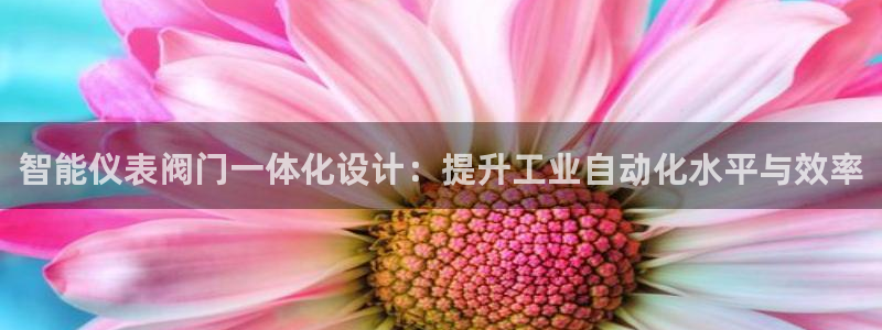 新宝gg玩法