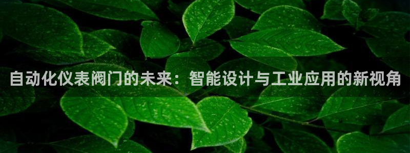 创造奇迹 新宝gg
