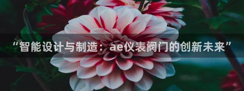 新宝GG股东