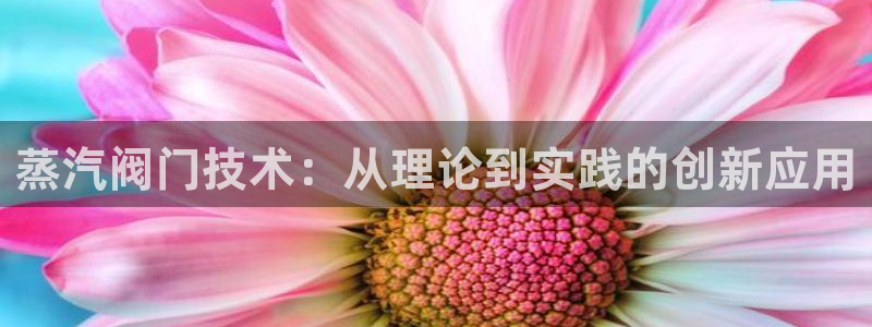 行新宝gg