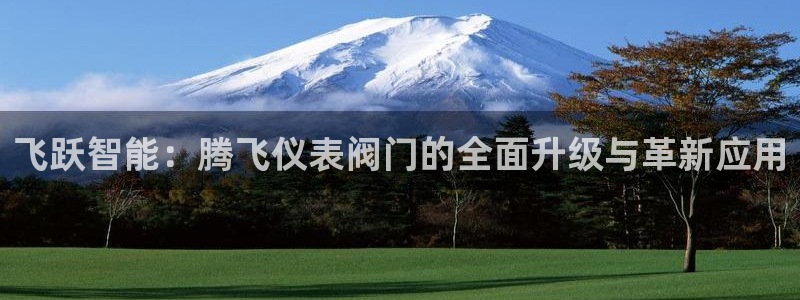新宝gg重