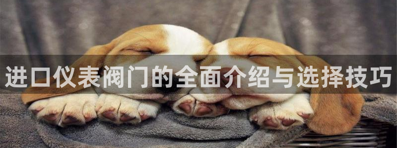 新宝gg维护