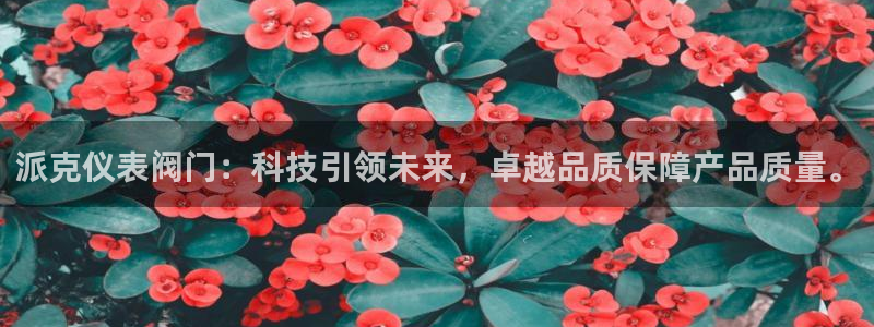 新宝 gg最新