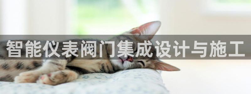 新宝gg 奇迹