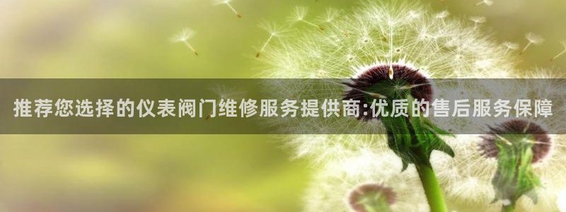 新宝gg玩法