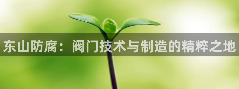 新宝gg平台注册