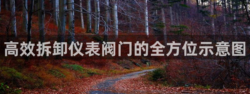 新宝gg主管weibo