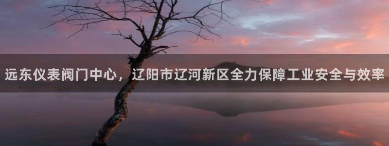 新宝gg怎样代理