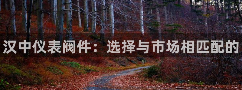 新宝gg 彩票
