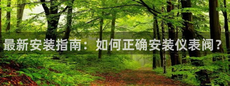 新宝gg如何注册