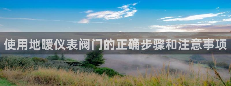 新宝gg论坛