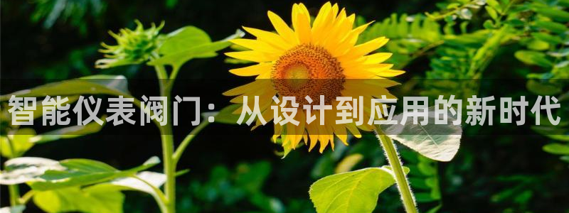 新宝gg注册cqdellar