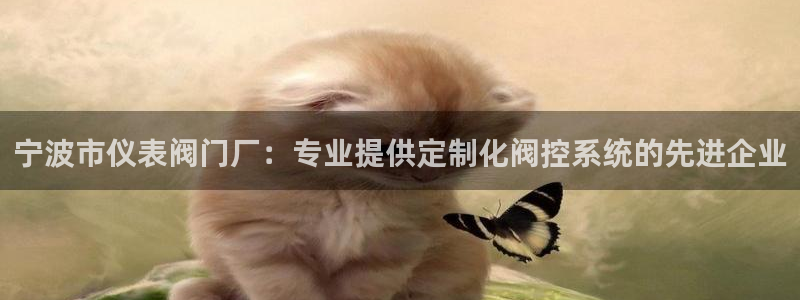 新宝gg测试