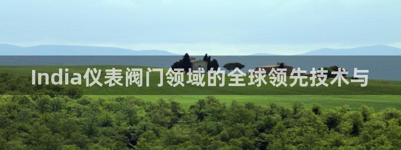 新宝gg怎么样