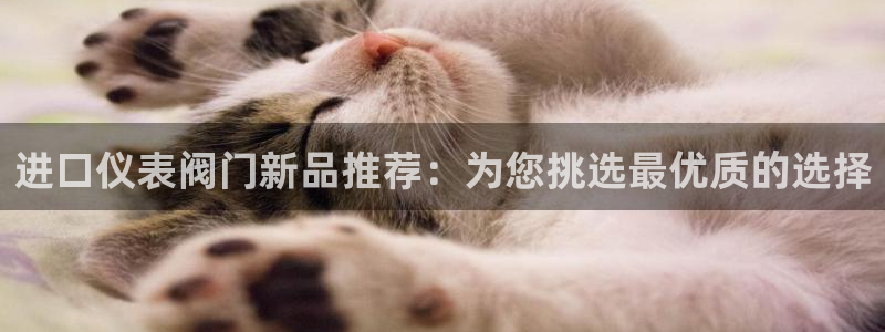 新宝GG苹果版