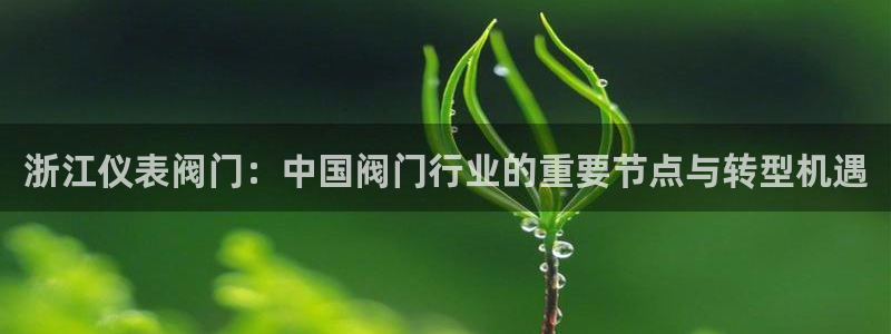 新宝gg传奇