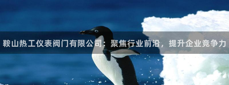 新宝gg测速登录