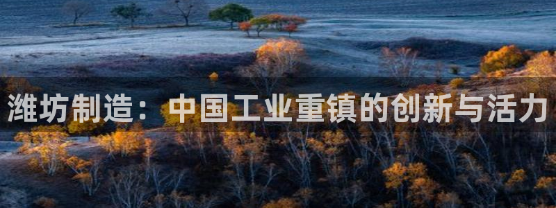 新宝gg注册q26880