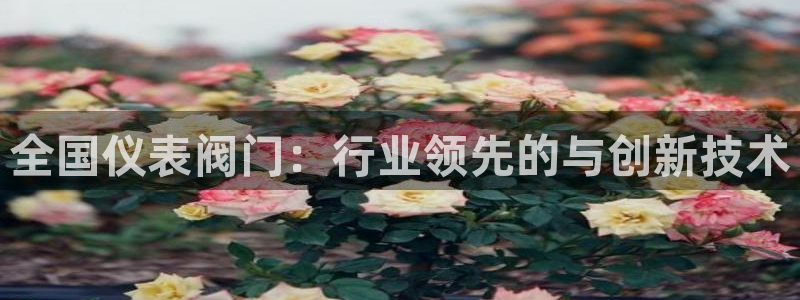 新宝gg创建奇迹