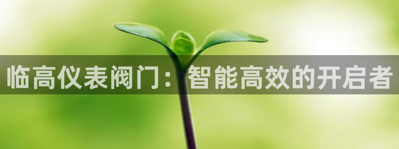 新宝gg真的能赚钱么