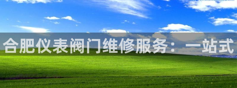 新宝gg主管都是谁