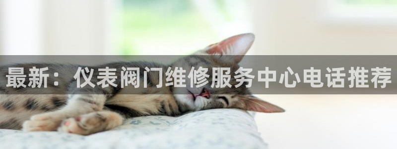 新宝gg真的能赚钱么